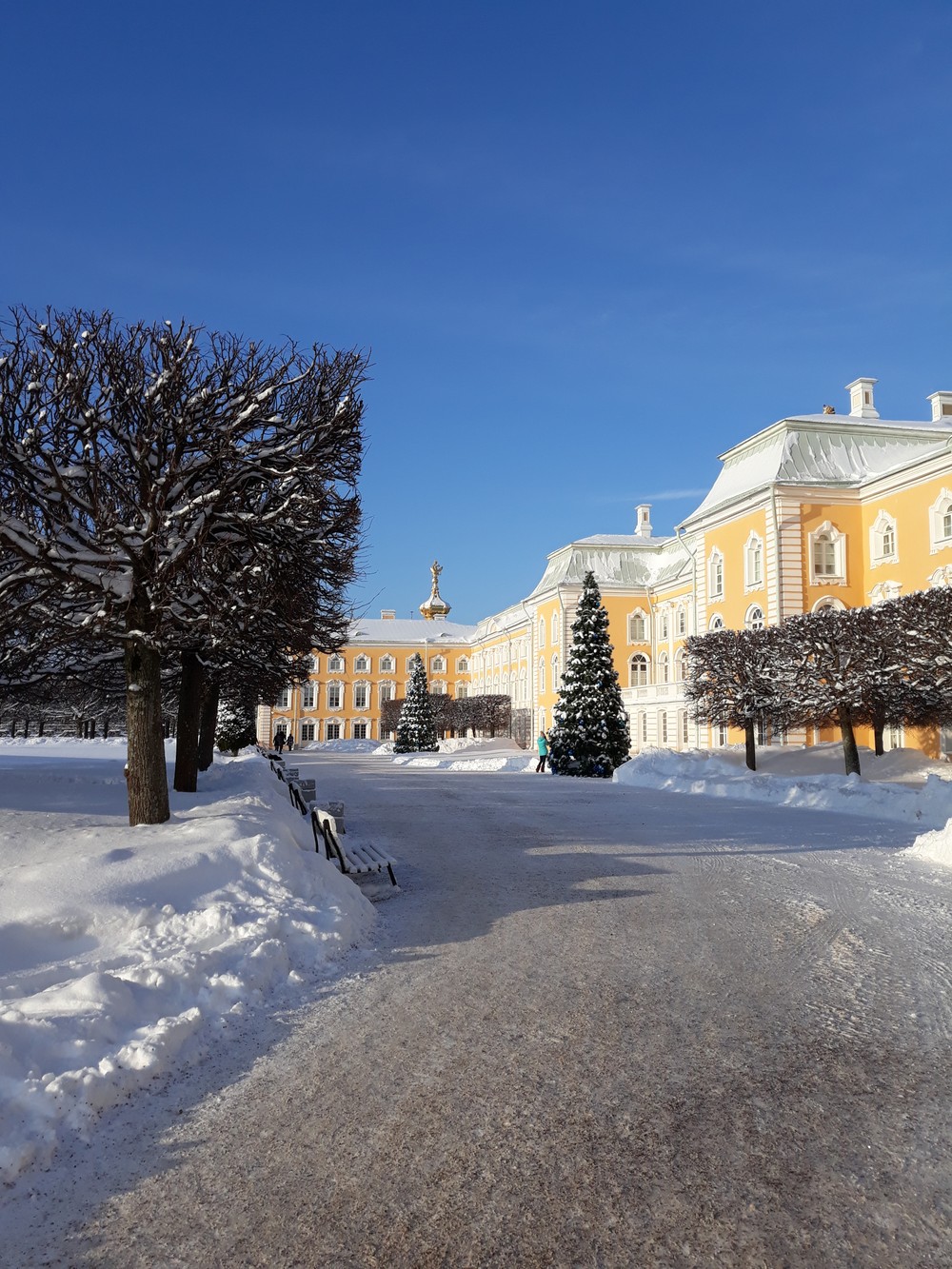 Фото Петергоф: групповая экскурсия в Большой дворец