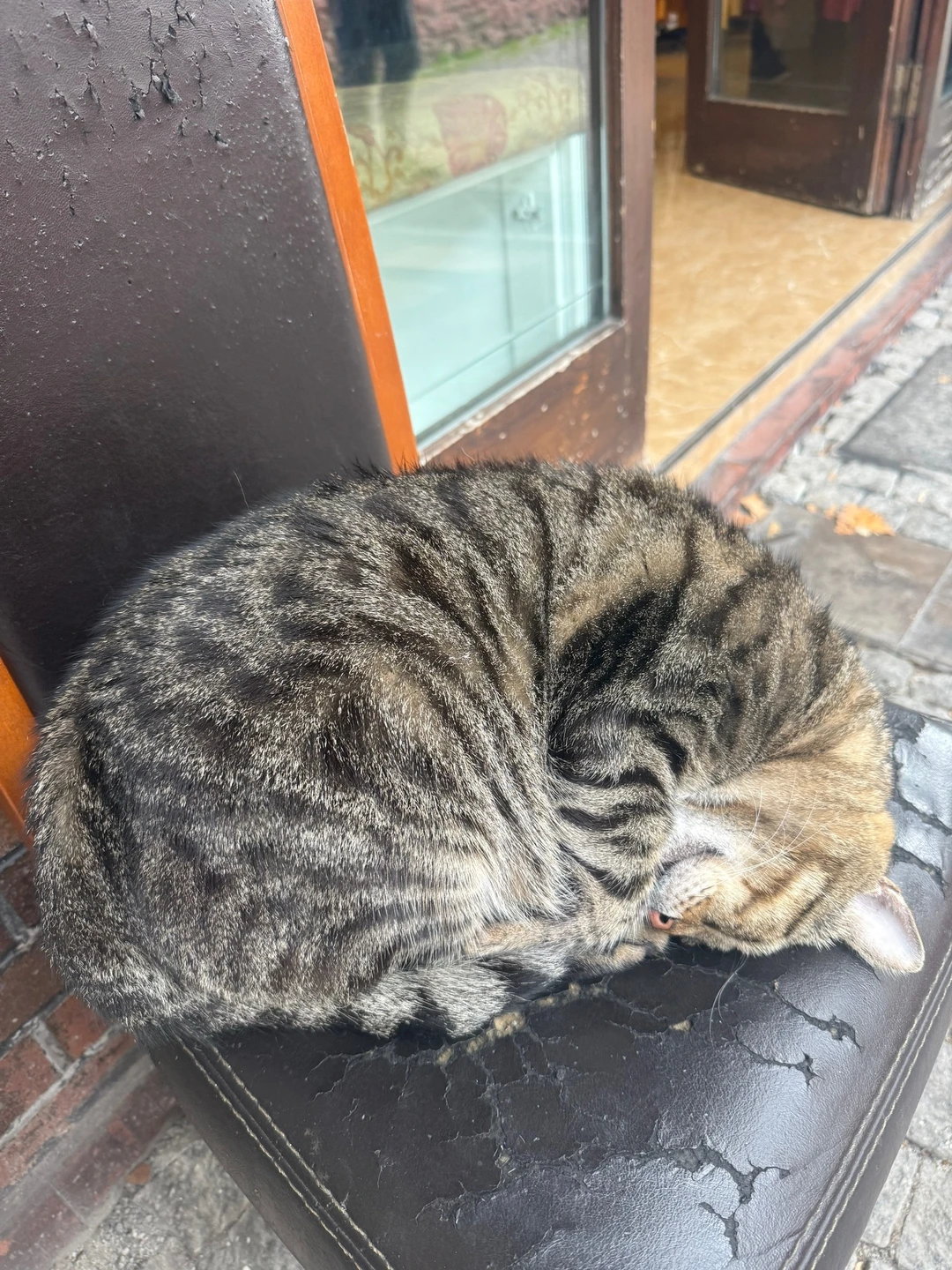 спасибо Арзу за экскурсию, организация на высоте, 2 гида рассказывали на разных языках (англ. и русский)