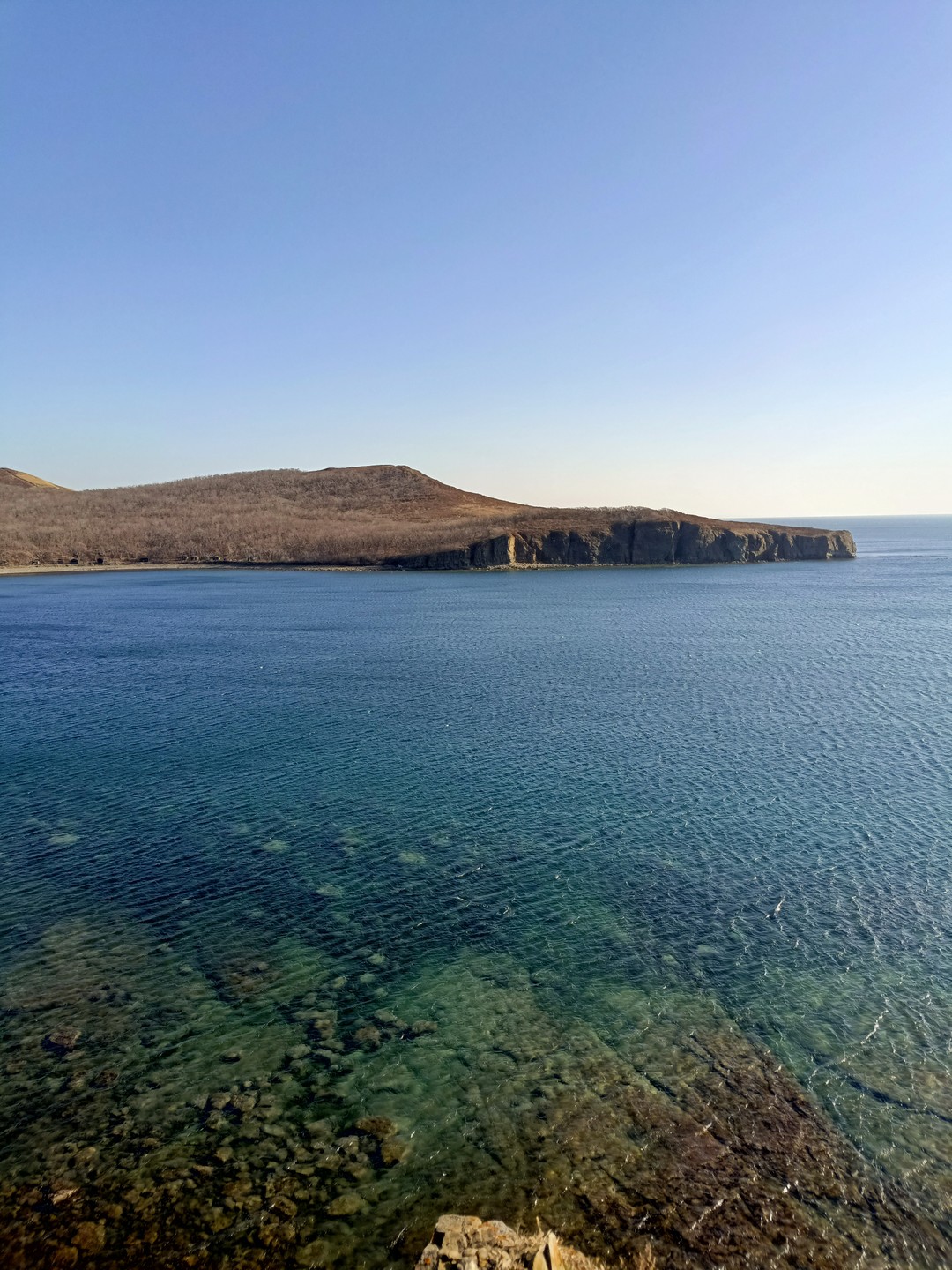 Сегодня впервые приехал во Владивосток и провел замечательный день на экскурсии по о. Русский вместе с