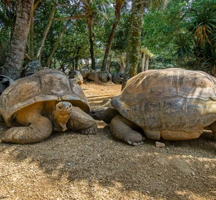 Парк «Ла Ваниль»
