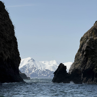 Фото отзыва 3: экскурсия "Путешествие к острову Старичков: морская рыбалка + крабовое сафари"