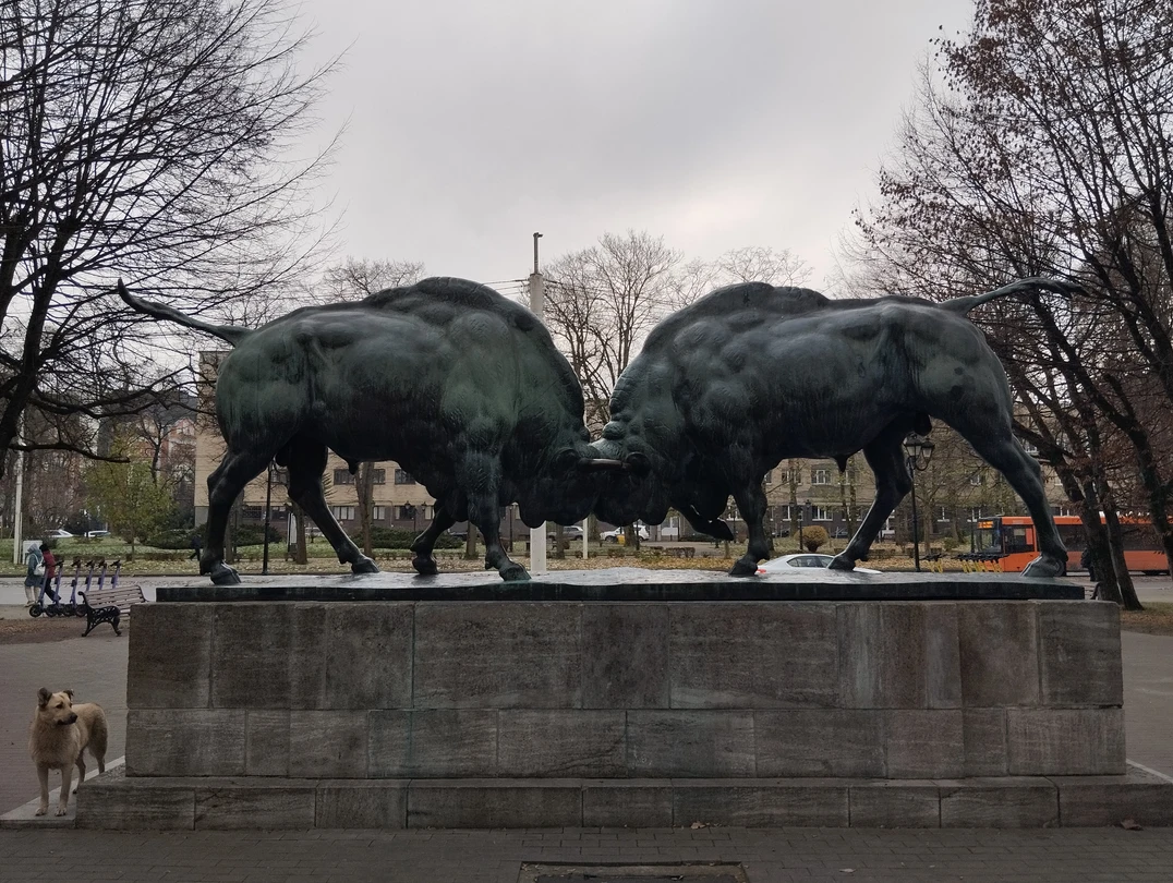 Очень хорошая экскурсия, для тех кто впервые посетил Калининград. Все основные достопримечательности освещаются экскурсоводом. После первой
