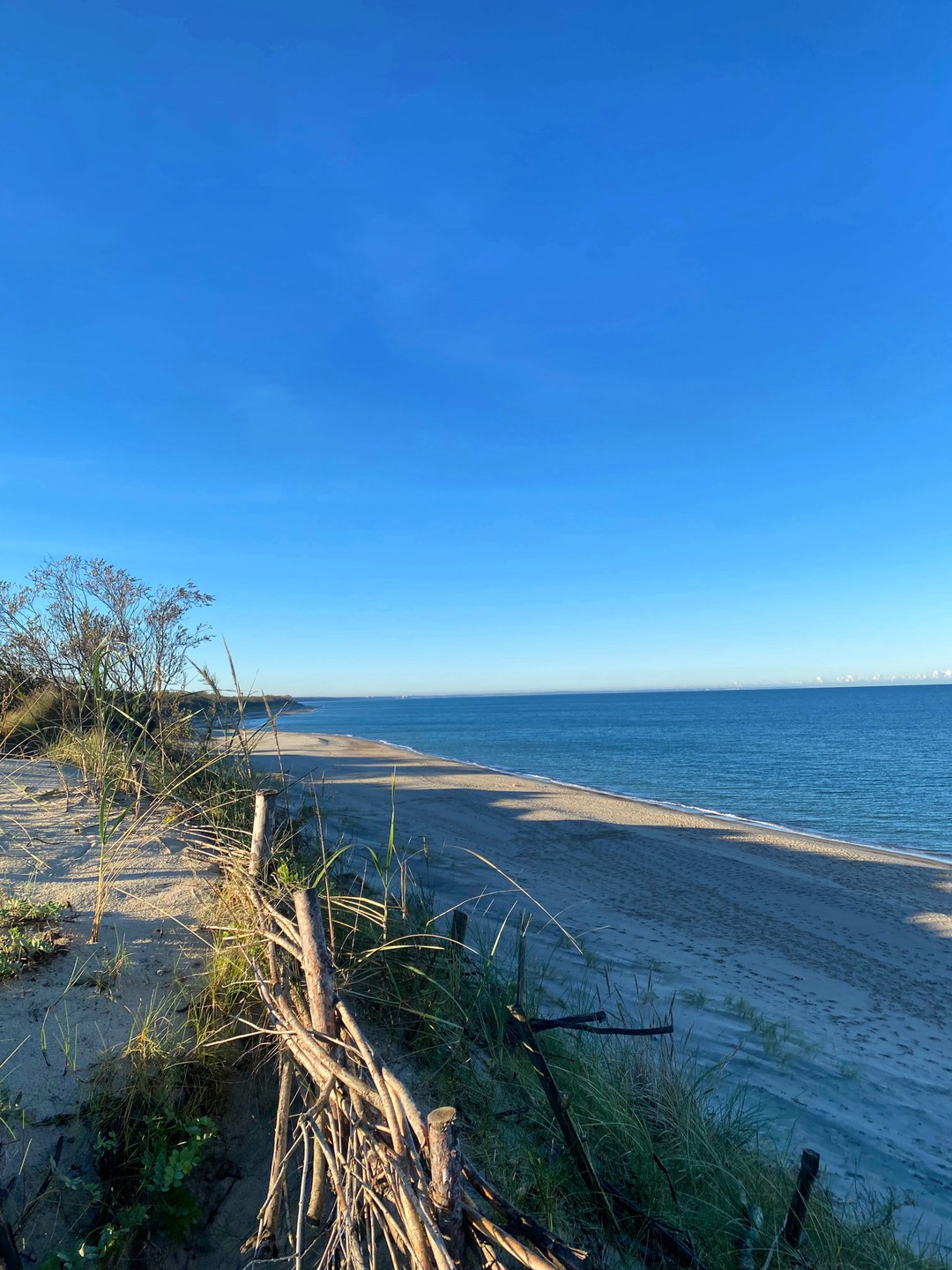 Комфортная поездка на Куршскую косу (Вероника)