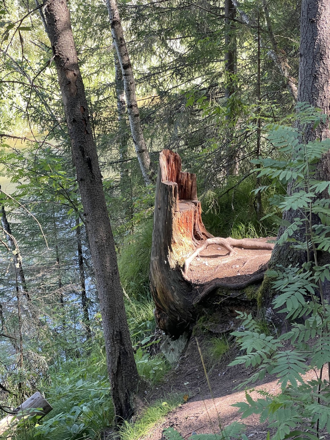Екатеринбург и династия Романовых (Александра)