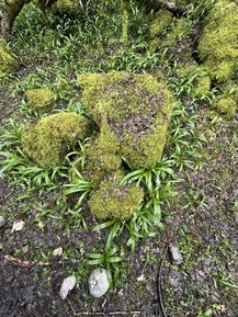 Фото отзыва 4: экскурсия ""