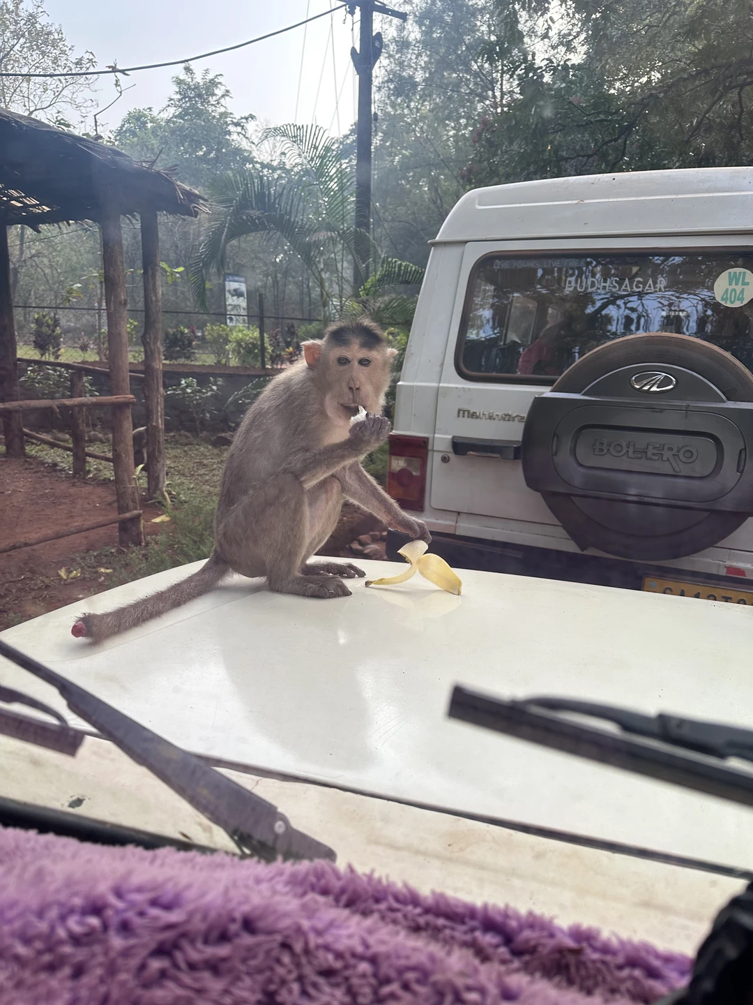 Отличная экскурсия, интересно и познавательно. Яна очень вовлечено отвечала на все вопросы, рассказала много нового для нас