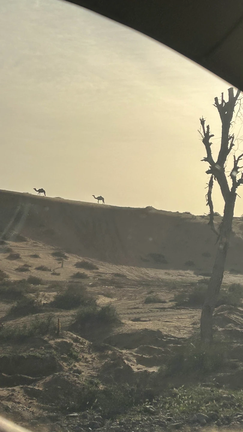 Это была шикарная экскурсия. Огромное спасибо Андрею - нашему гиду. Очень интересный рассказ с заездами на