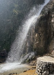 Фото отзыва 2: экскурсия "Озеро Рица и окрестности (из Гагры)"