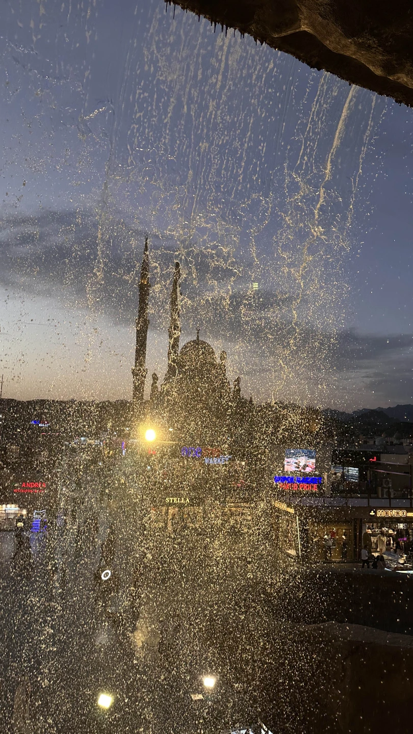 Прекрасная экскурсия. Все основные локации посетили