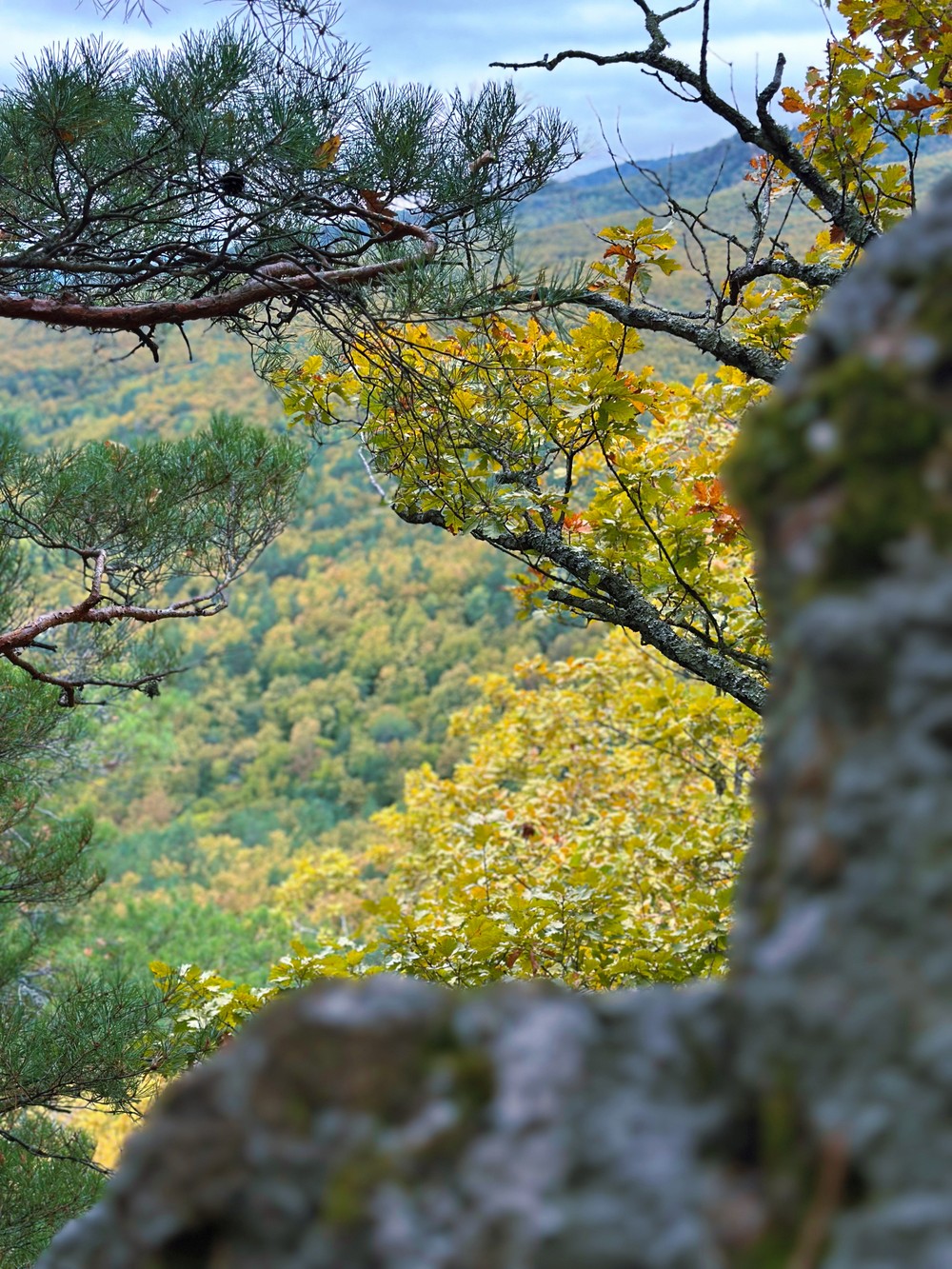 Золотые Планческие скалы, водопады, Собер Баш и беседка желаний (17/26)