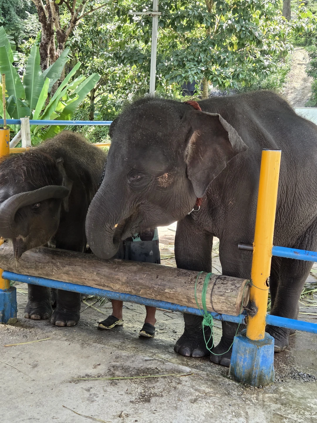 Всё очень понравилось, содержательно, интересно, экскурсовод Диана максимально подробно всё рассказала!