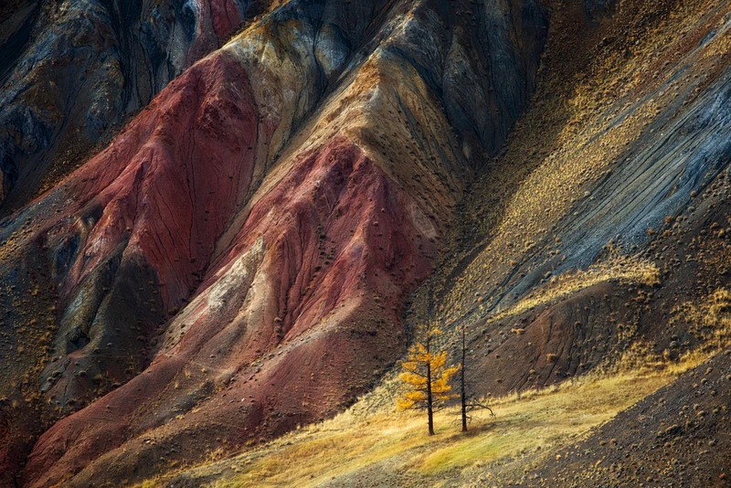 Главные сокровища Алтая в мини-группе: по Золотому кольцу с прогулкой на катере по Телецкому озеру