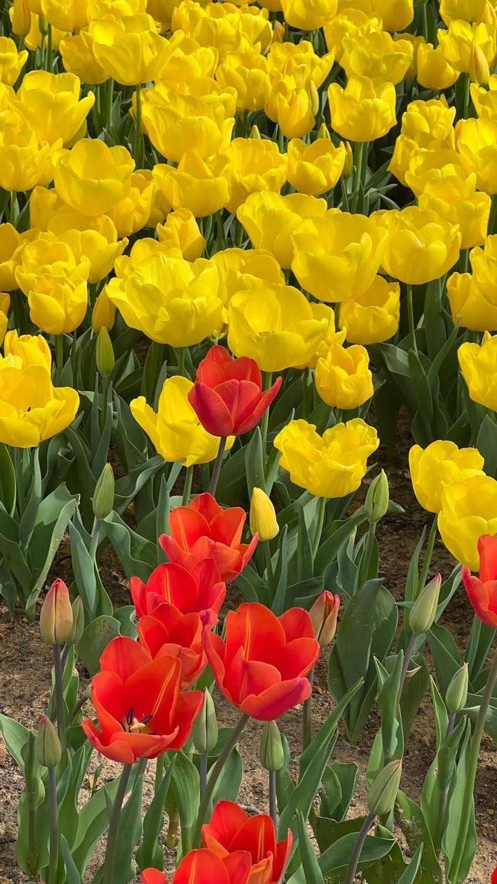 Шикарная экскурсия! Это уникальная возможность посетить сразу несколько уникальных достопримечательностей! Красота нереальная! Она стоит своих денег!