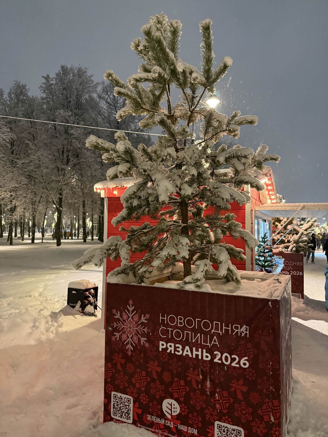 Кремль - сердце Рязани (Светлана)