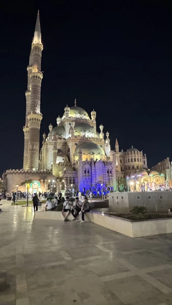 Мы отлично провели вечер, Богдади был всегда на связи, с гидом Роберто были, как в компании