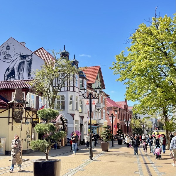 Куршская коса, Зеленоградск и дегустация на сыроварне «Шаакен Дорф»