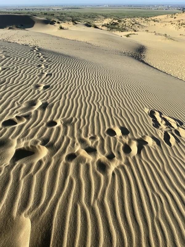 Виды Сулакский каньон + бархан Сарыкум (в мини-группе)