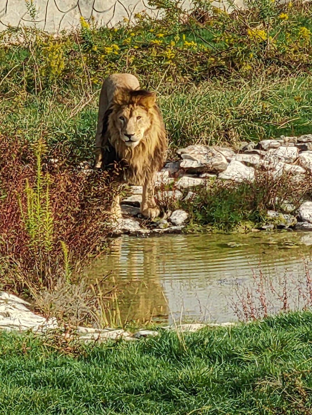 11 ноября всей семьей были в Абхазии, экскурсовод Виталий заранее с нами связался,обговорили время и место