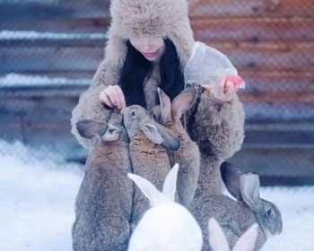 Хибины: традиционные забавы, арктический обед, снегоходный тур, катание на упряжке