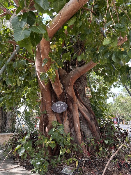 Столько эмоций сколько осталось у нас после данной экскурсии, невозможно даже описать. Мы очень благодарны за