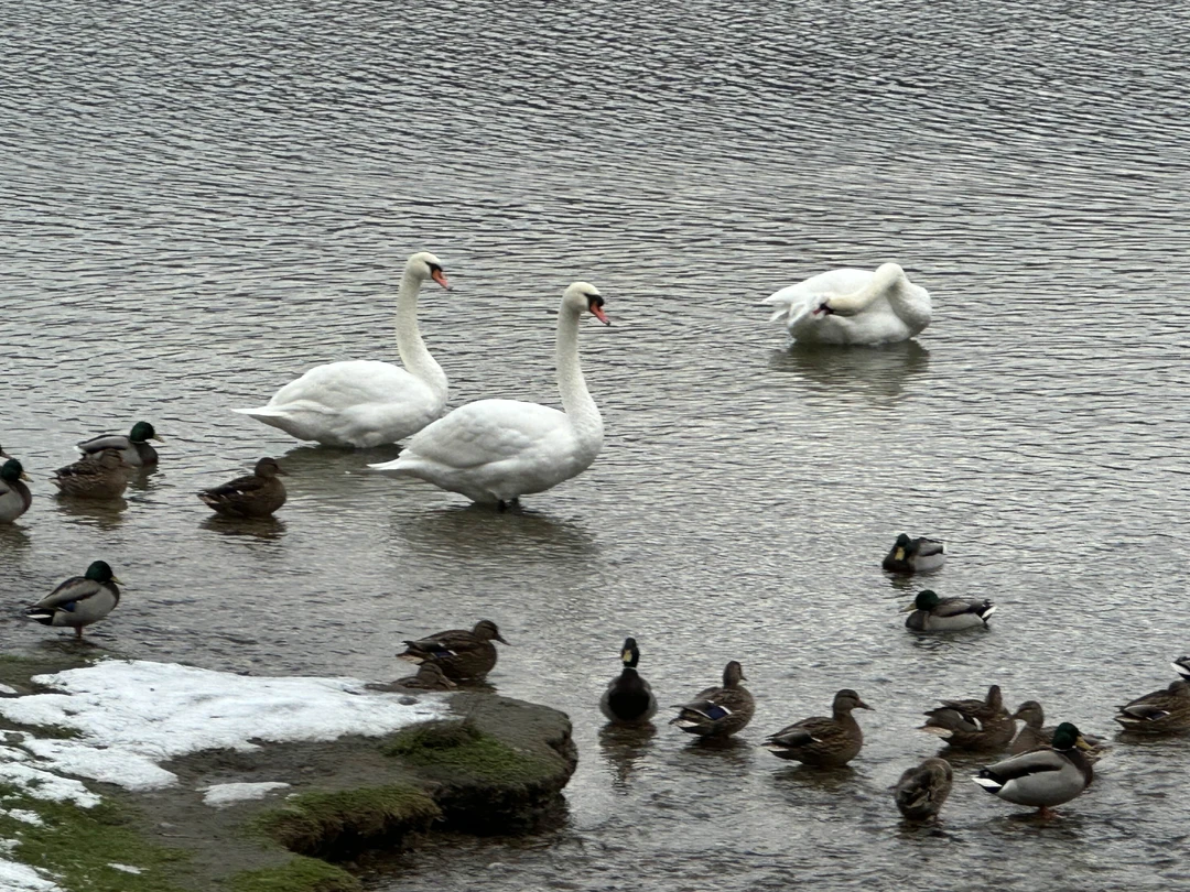Всем, кто хочет знать «откуда есть пошла земля русская», поможет прекрасный гид Даниил, который прекрасно осведомлён об этом
