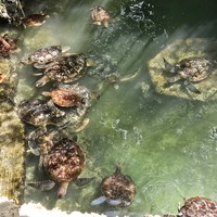 Фото отзыва 2: экскурсия "Занзибар — погружение в реальную жизнь"