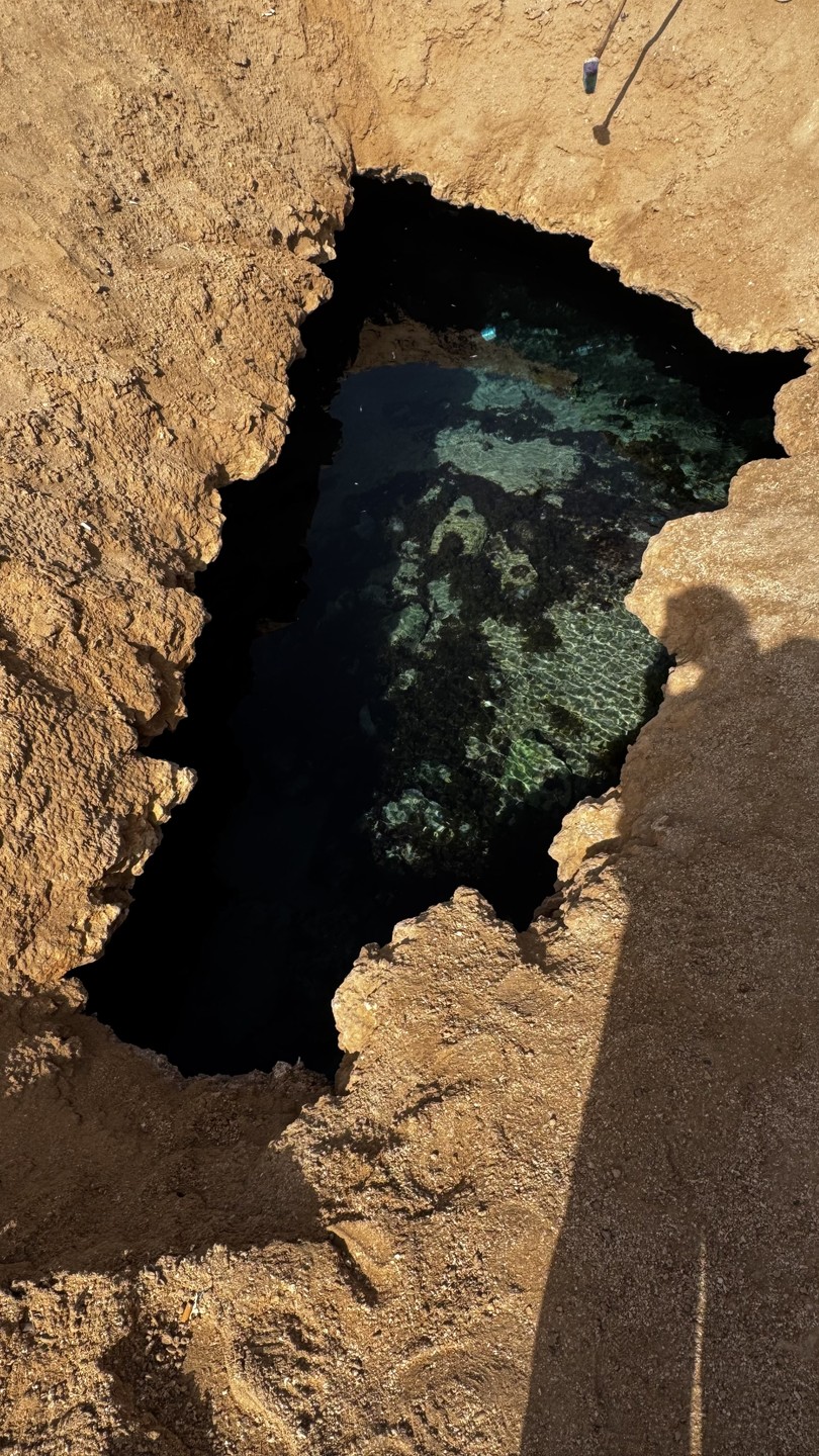 Потрясающая экскурсия. Богдади лучший рассказчик которого я встречала, все интересно и с юмором. Водитель мини-автобуса пунктуален