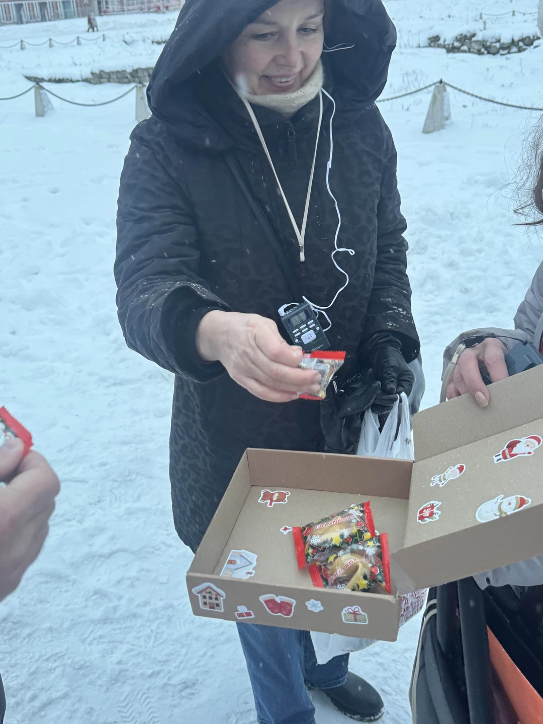 Царицыно: Екатерина Великая и её гениальный архитектор (Ветрова)