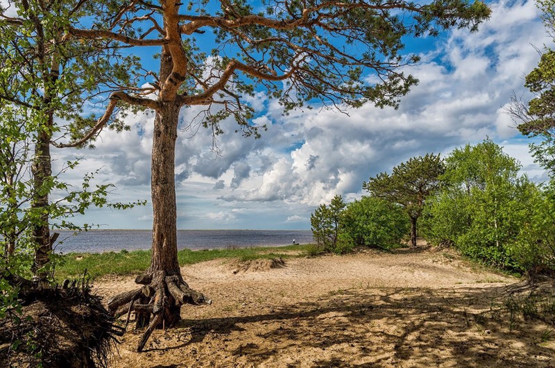 Северодвинск и Белое море