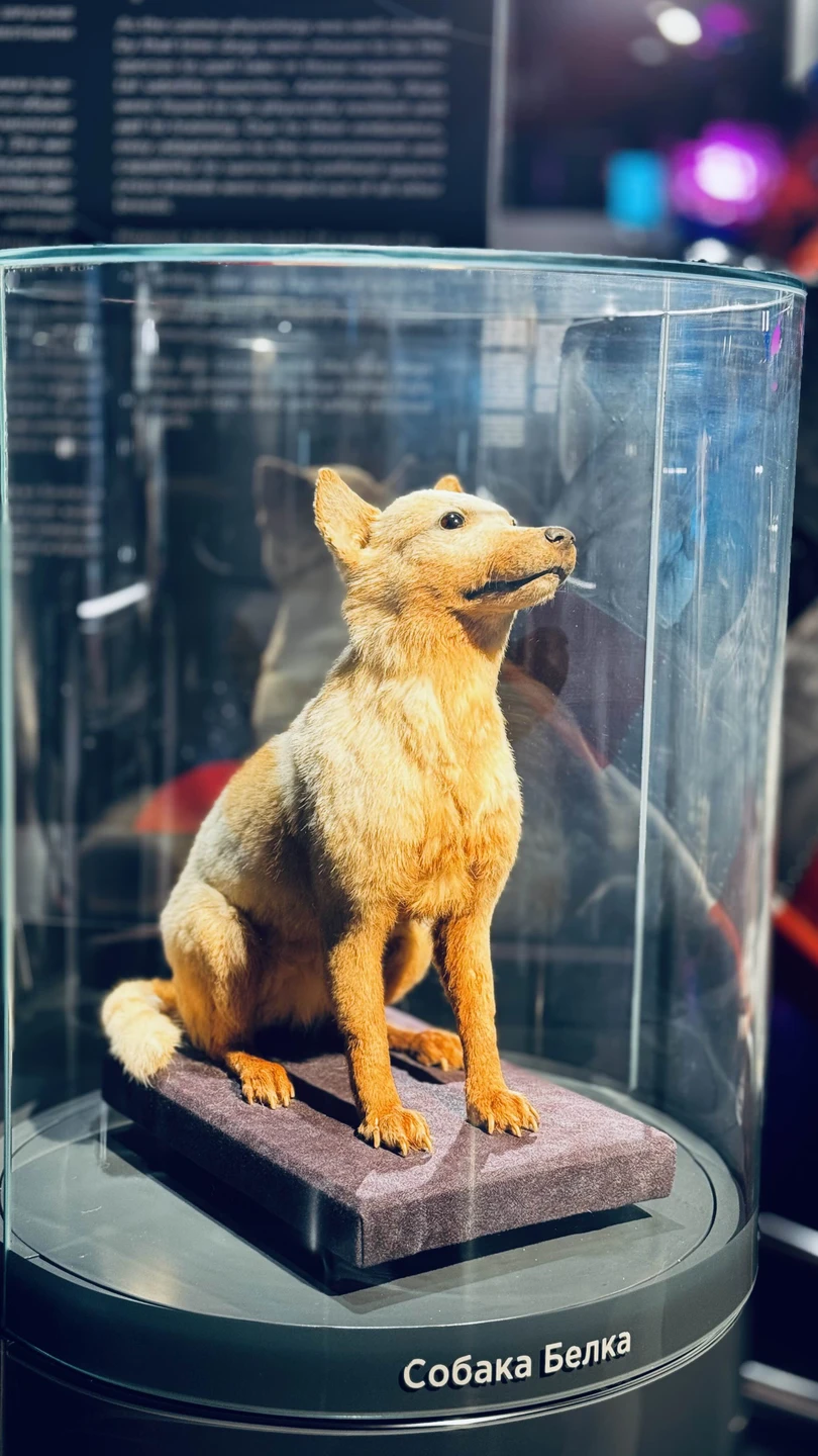 Музей хороший. Есть интересные экспонаты. Для интересующихся космосом, не лишним будет посетить