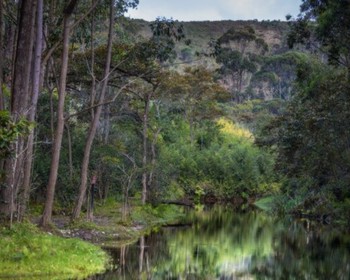 Лемуры нацпарка "Перинет", парка Вакона и заповедника "Пальмариум"
