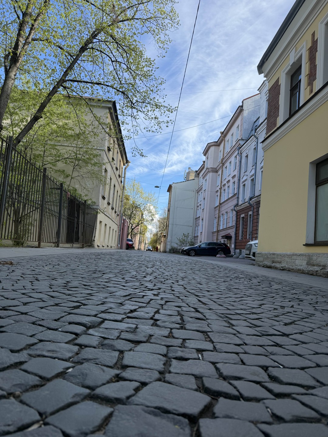 Секретные места Васильевского острова (Зарипова)