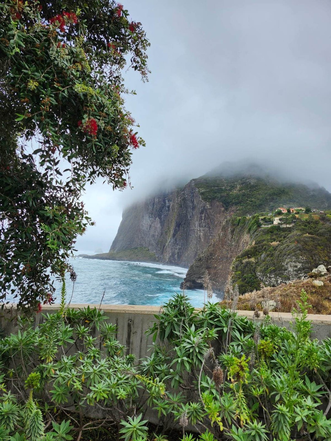 Хотелось бы выразить большую благодарность экскурсоводу за незабываемый день на Мадейре. Он представил материал очень увлекательно