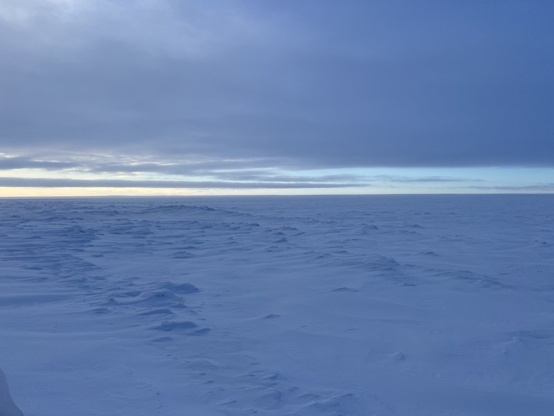 Экскурсия очень понравилась, все понятно и интересно. Дмитрию спасибо!