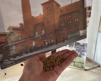Полесск: дегустация пива, рыцарский замок и старинная немецкая школа