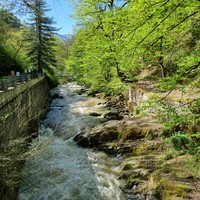 Фото отзыва 6: экскурсия "Вардзия: приключение в духе Индианы Джонса!"