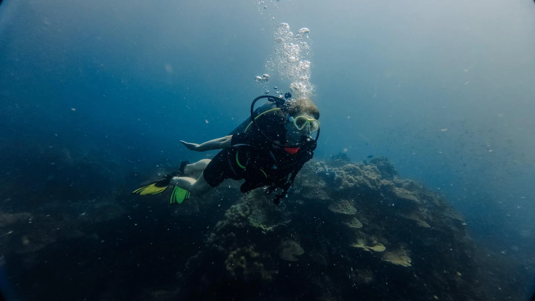 Большая, невероятная благодарность Жене, за организацию, поддержку и очень душевное сопровождение! Для жены был первый опыт