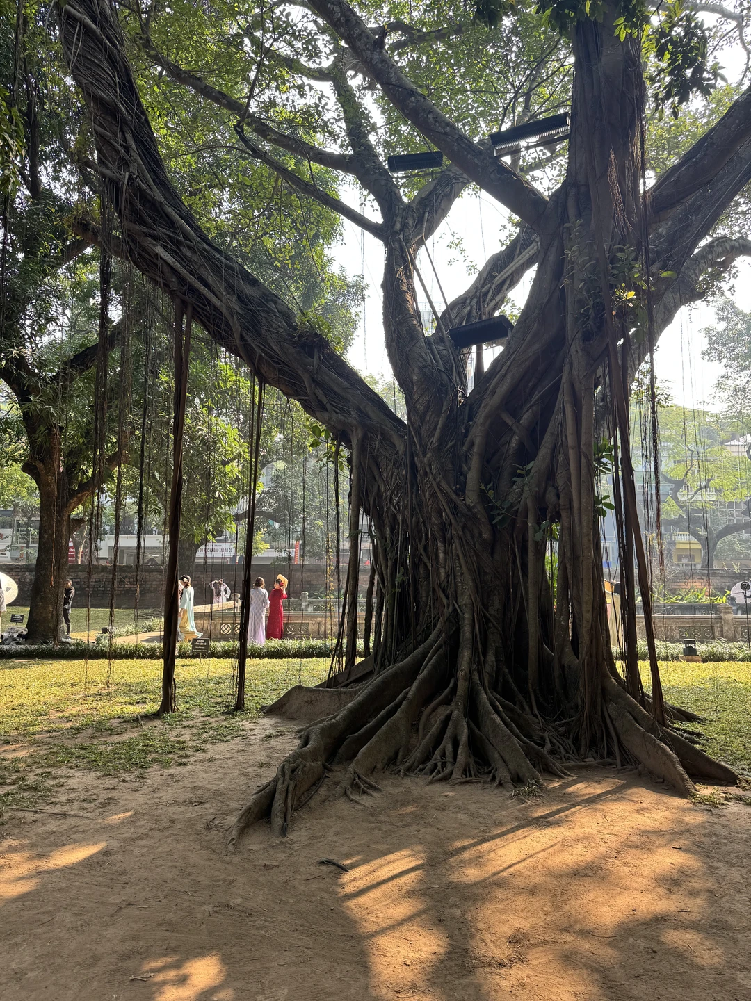 Первое знакомство с Ханоем (Анна)