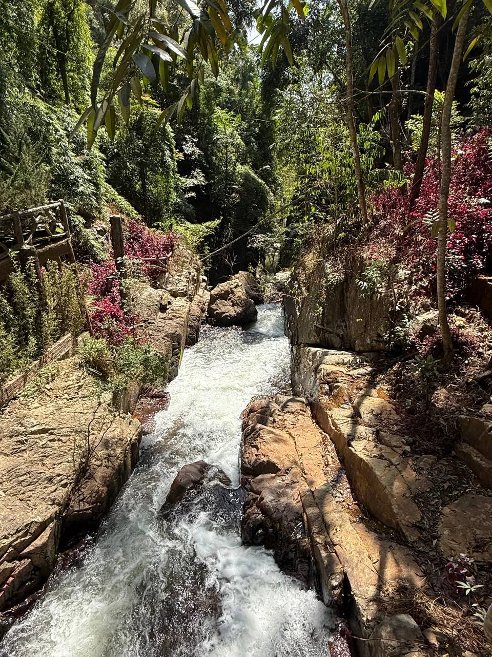 В Далат - из Нячанга (Сергей)