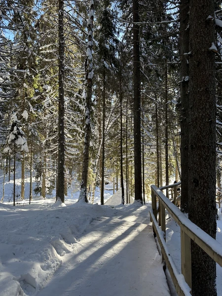 Все прошло очень хорошо, экскурсия насыщенная, дорога долгая, но это того стоит. Обязательно вернусь еще в теплый период. Спасибо!