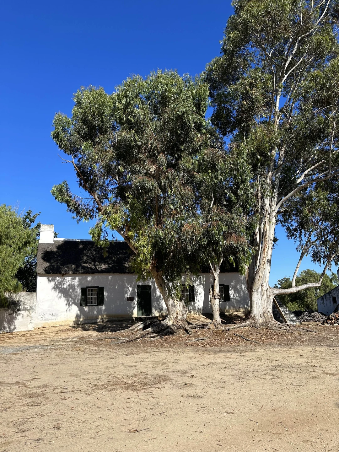 Константин, Виктор и Алексей!