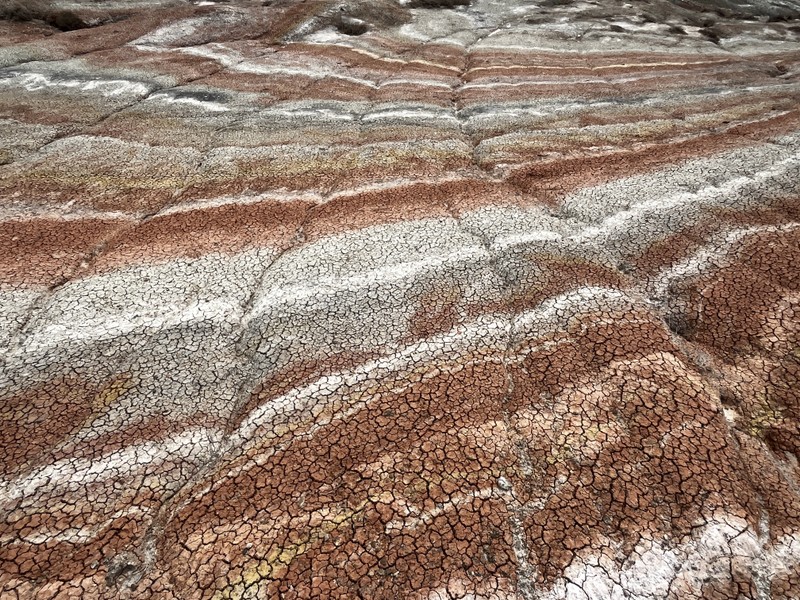 Огромное спасибо Туралу за великолепно проведенный день в окрестностях Баку. Спасибо за рассказ об уникальном розовом