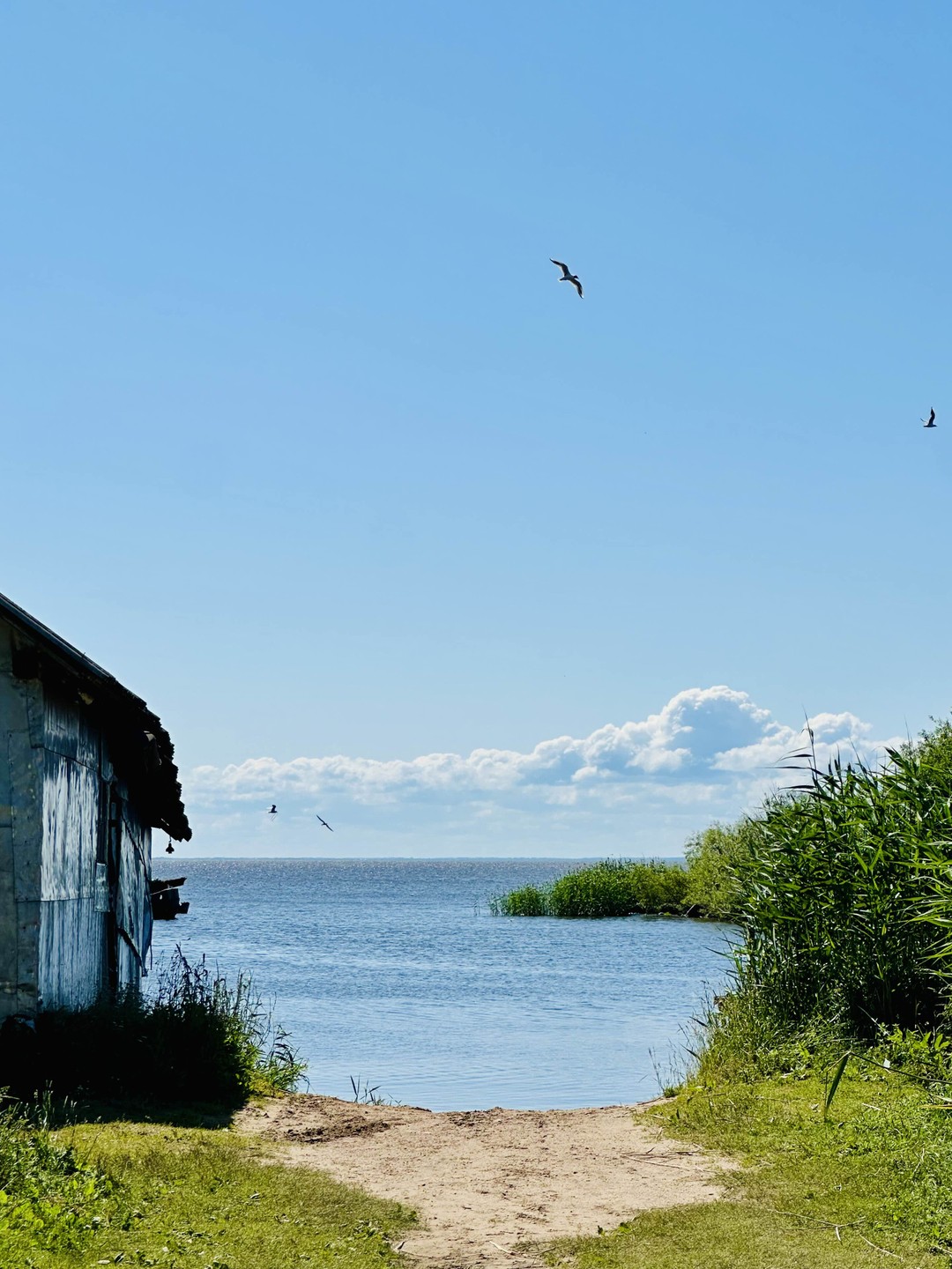 Красивая экскурсия, рекомендую