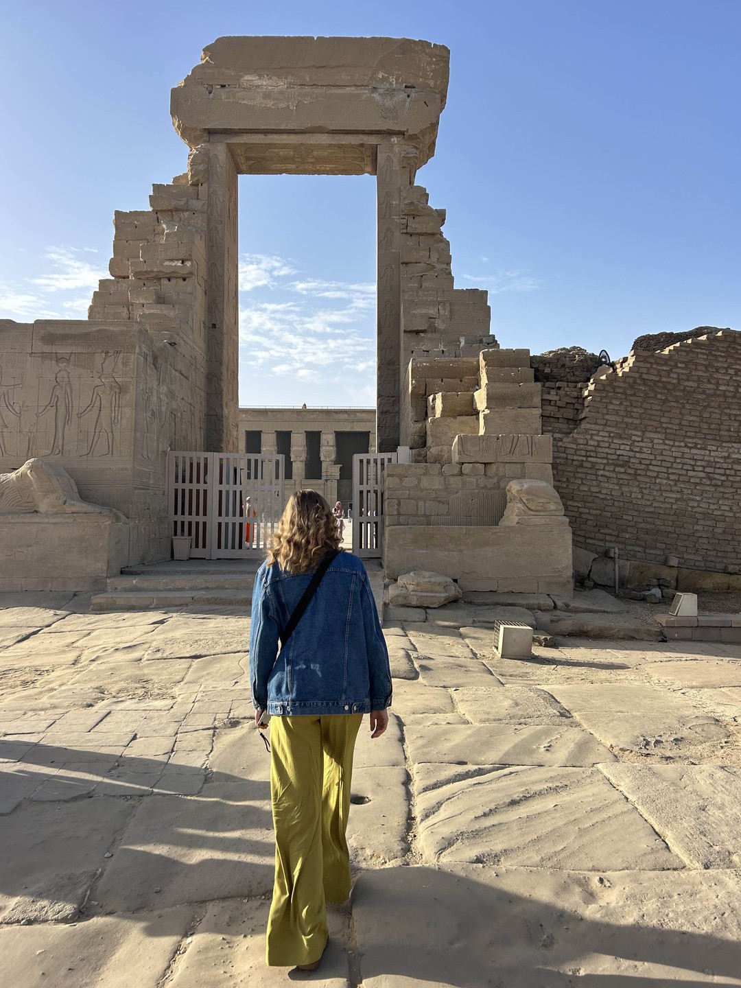 Дендера и Луксор за 1 день (Анна)