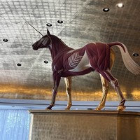 Фото отзыва 2: экскурсия "Это Майами!"