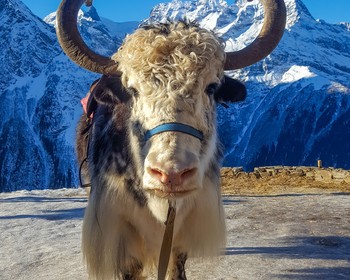 КЧР: Домбай