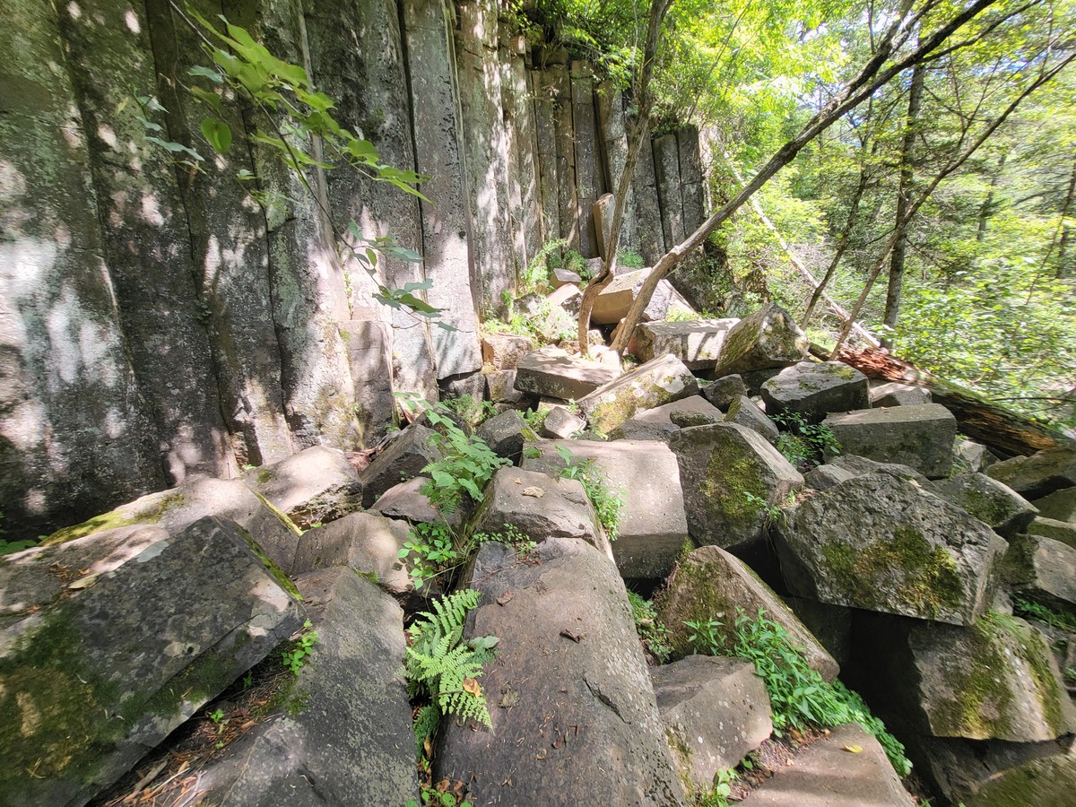 Приморский сафари-парк, бухта Стеклянная и мыс с двухтысячной купюры. Индивидуальная экскурсия (8/19)