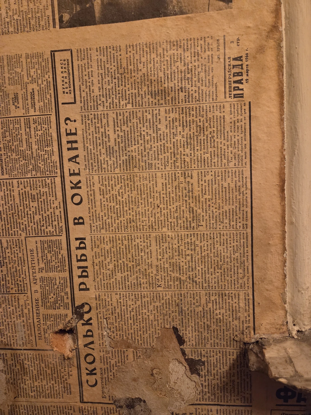 Нашей компании друзей понравилось, за что спасибо организаторам. Единственное, я не могу сказать, что цена билета