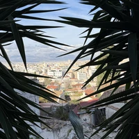 Фото отзыва 1: экскурсия "Прогулка по стильным Афинам"