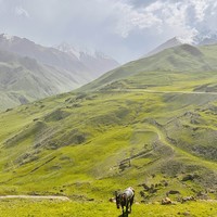 Фото отзыва 1: экскурсия "Сказочная Кабарда и чарующая Балкария (из Кисловодска)"